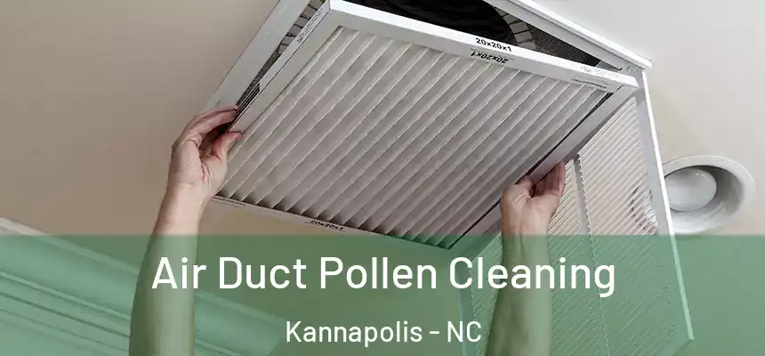  Air Duct Pollen Cleaning Kannapolis - NC