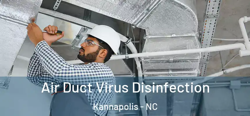 Air Duct Virus Disinfection Kannapolis - NC