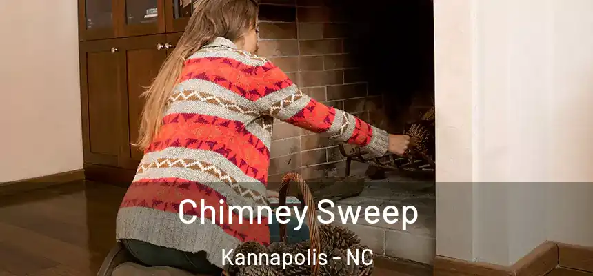  Chimney Sweep Kannapolis - NC