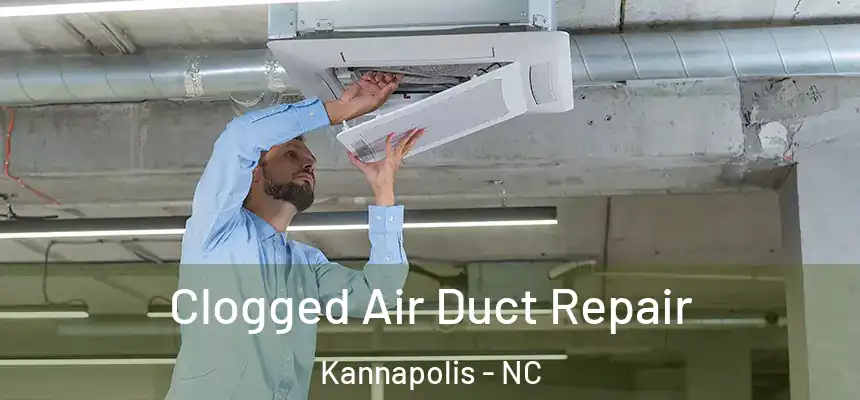 Clogged Air Duct Repair Kannapolis - NC