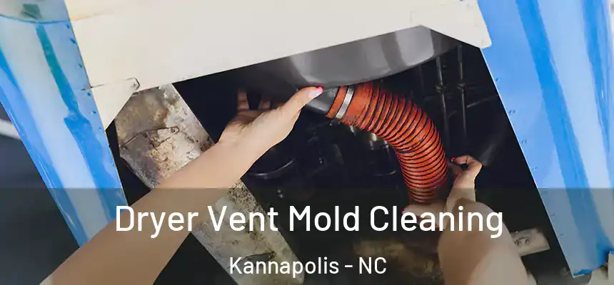  Dryer Vent Mold Cleaning Kannapolis - NC