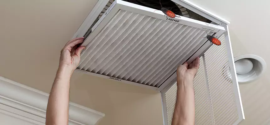 Preventive Cockroach-Proofing for Ducts in Kannapolis