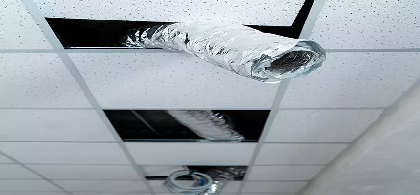 Our Air Duct Pet Hair Removal Services in Kannapolis, NC