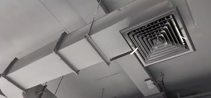 Restorative Allergy Relief Vent Cleaning – Coil, Blower & Housing Detail in Kannapolis