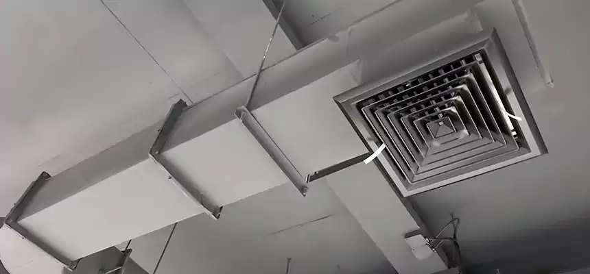 Our Pest Removal From Ducts Services in Kannapolis, NC