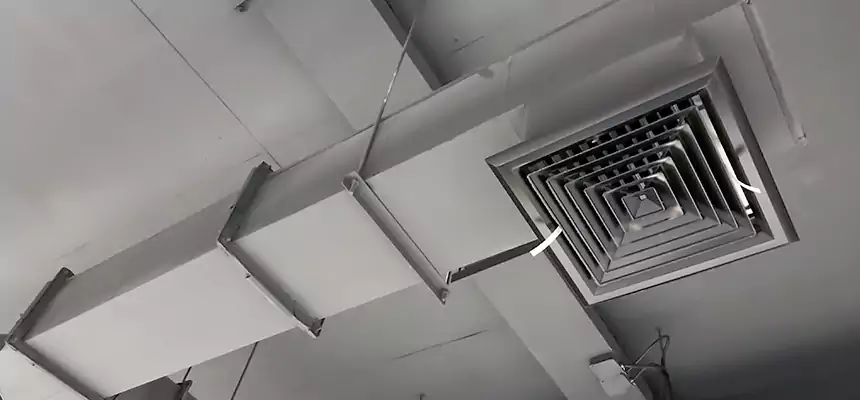 Our Rodent Droppings In Vents Services in Kannapolis, NC