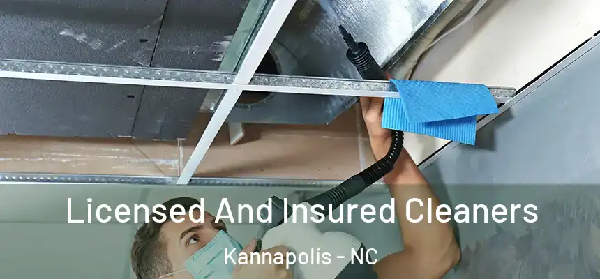  Licensed And Insured Cleaners Kannapolis - NC