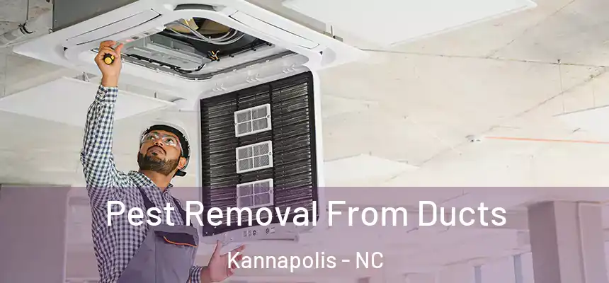  Pest Removal From Ducts Kannapolis - NC