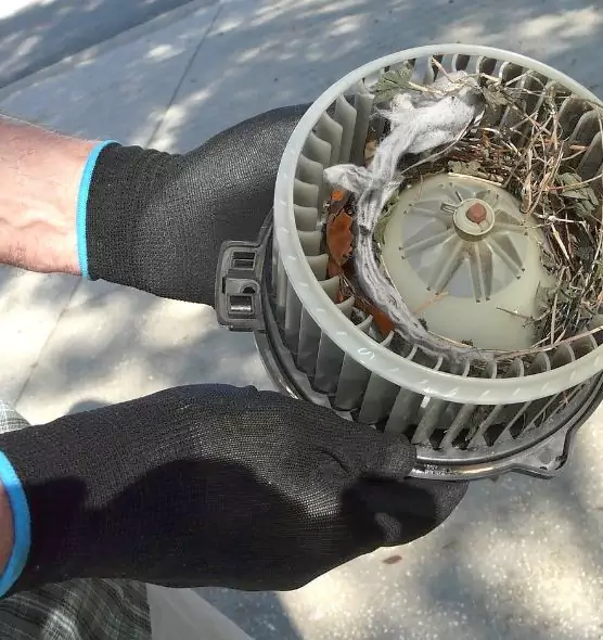 About Air Duct Mice Removal in Kannapolis, NC