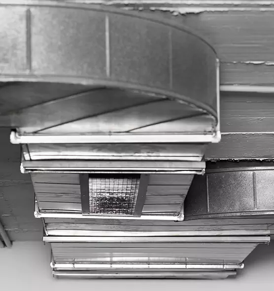 Professional Air Duct Pest Removal in Kannapolis, NC