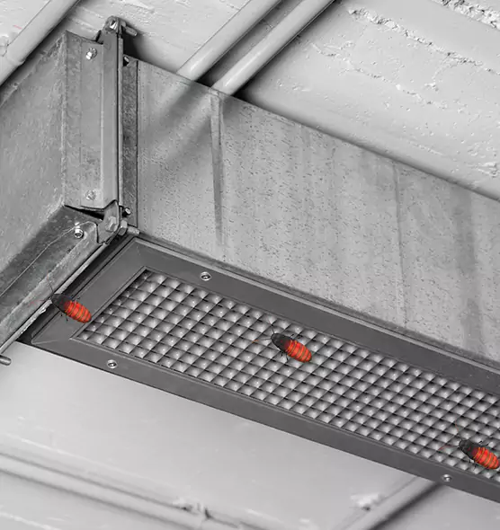 Affordable Insect Removal from Air Ducts in Kannapolis, NC