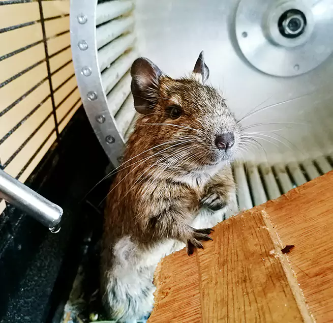 Why Homeowners & Businesses Trust Us Kannapolis, NC