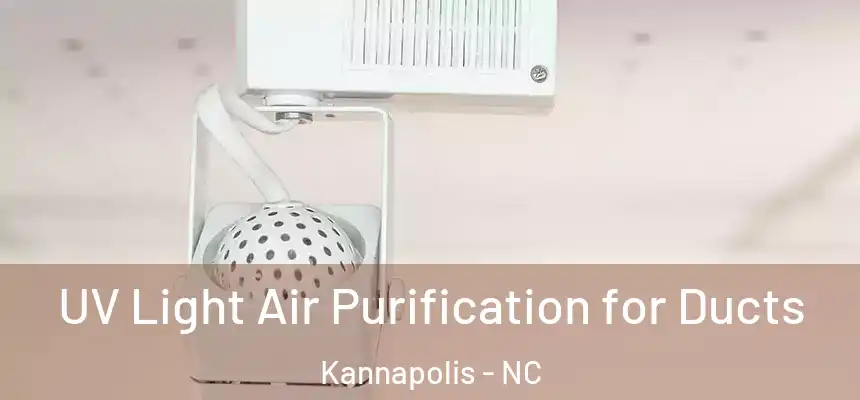  UV Light Air Purification for Ducts Kannapolis - NC